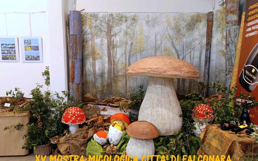 XV Mostra micologica Falconara M