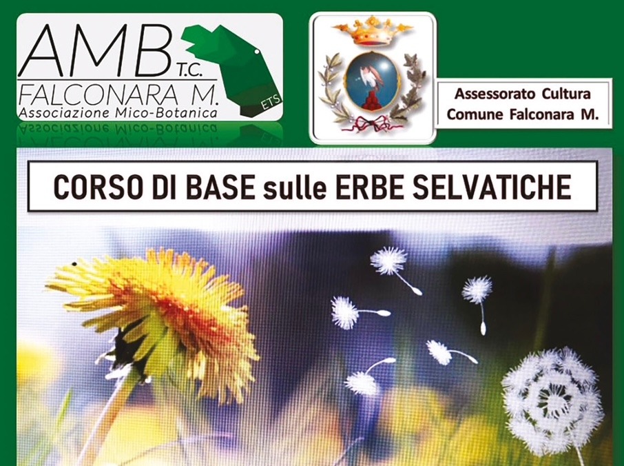 CORSO DI BASE sulle ERBE SELVATICHE